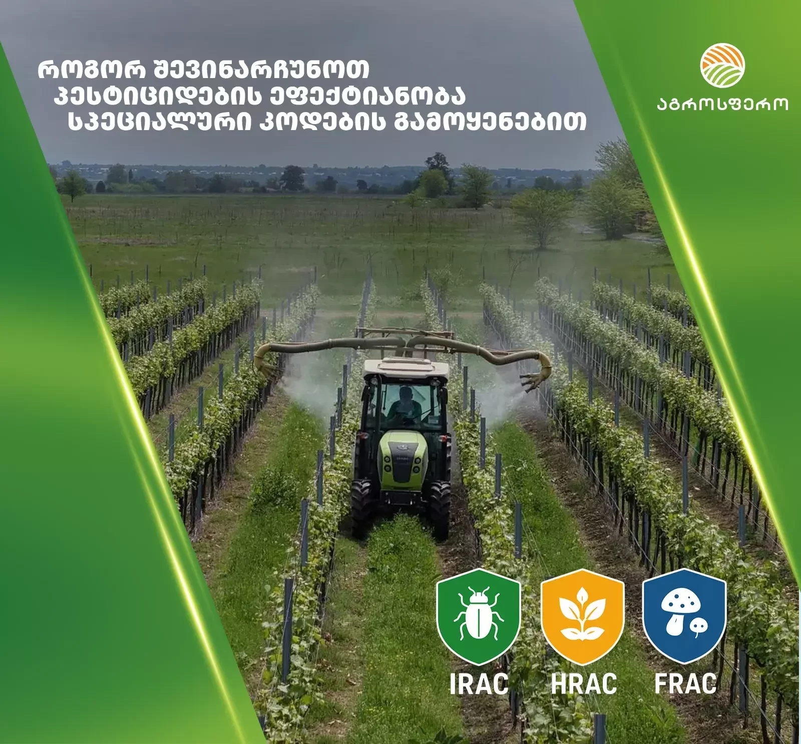 IRAC, HRAC და FRAC – როგორ შევინარჩუნოთ პესტიციდების ეფექტიანობა სპეციალური კოდების გამოყენებით