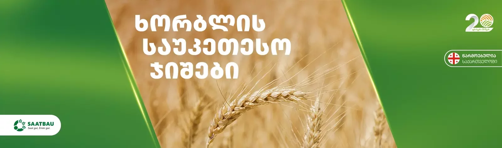 ხორბლის საუკეთესო ჯიშები