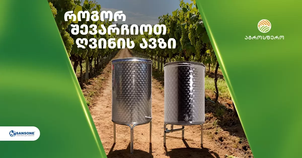 როგორ შევარჩიოთ ღვინის ავზი