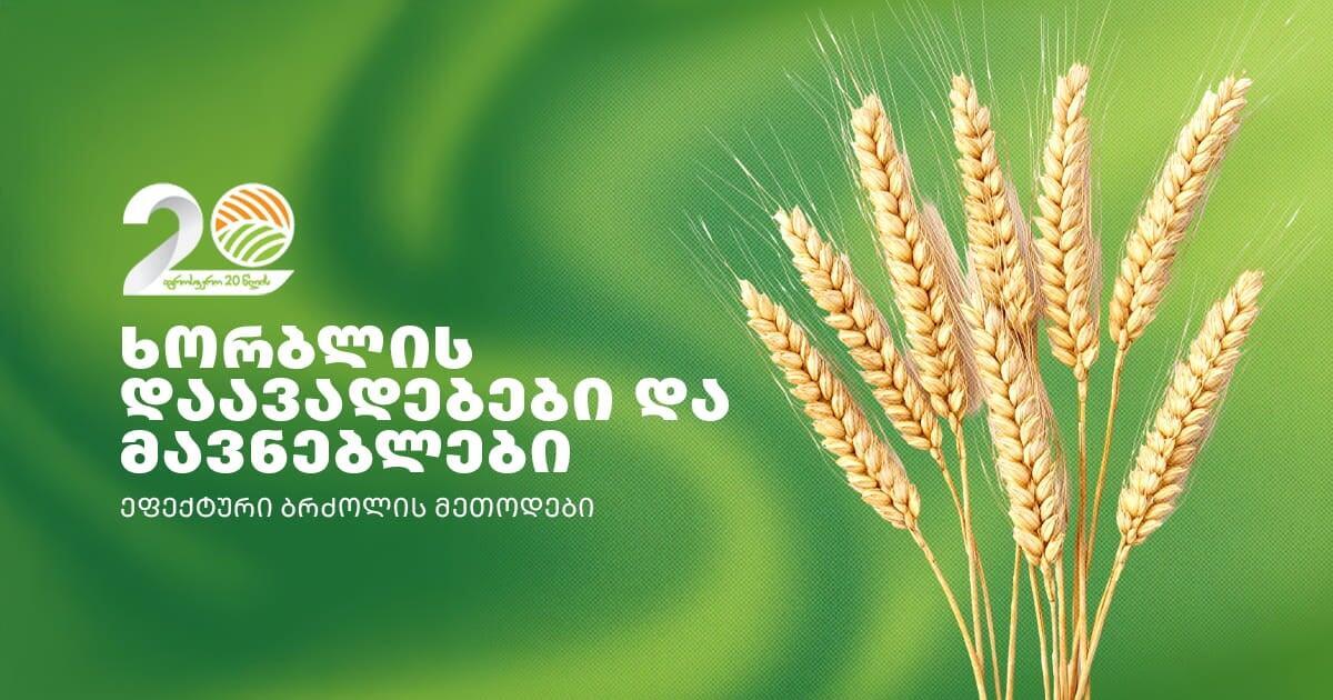 ხორბლის დაავადებები